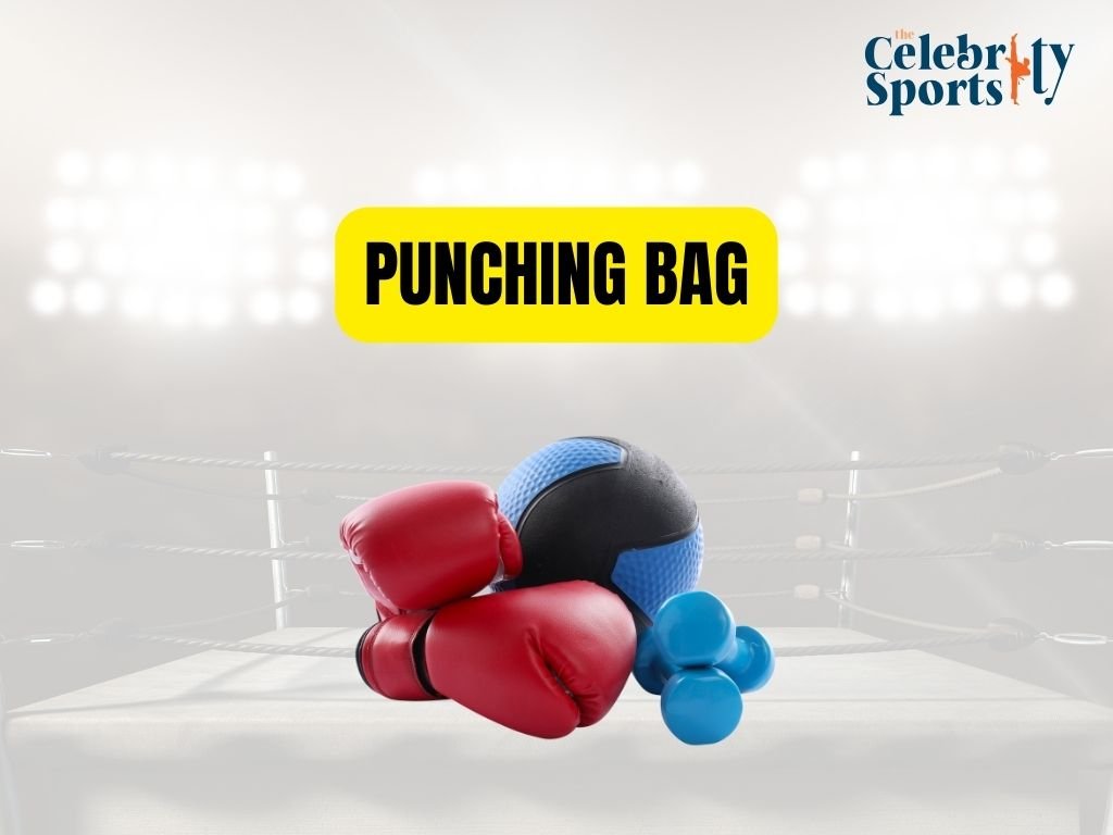 PUNCHING BAG